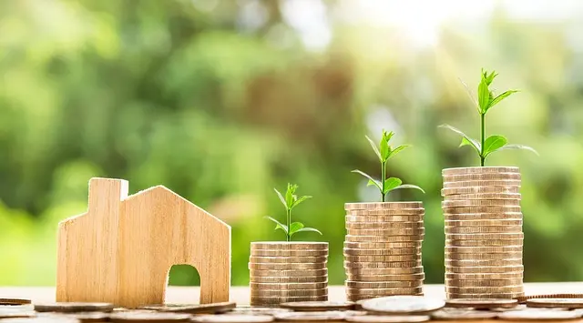 Les Meilleures Stratégies pour Maximiser vos Revenus Passifs